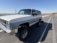 1990 Chevrolet Blazer for sale in Michigan (ID-139691)