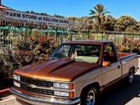 1990 Chevrolet C1500 for sale in Michigan (ID-113464)