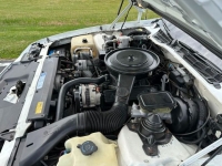 1990 Chevrolet Camaro for sale in Michigan (ID-122788)