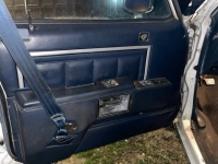 1990 Chevrolet Caprice for sale in Michigan (ID-163101)