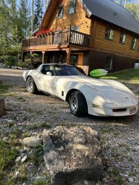 1990 Chevrolet Corvette for sale in Michigan (ID-133498)