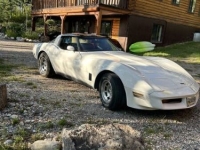 1990 Chevrolet Corvette for sale in Michigan (ID-133498)