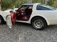 1990 Chevrolet Corvette for sale in Michigan (ID-133498)