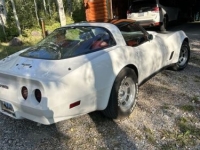 1990 Chevrolet Corvette for sale in Michigan (ID-133498)