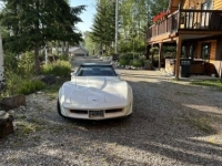 1990 Chevrolet Corvette for sale in Michigan (ID-133498)