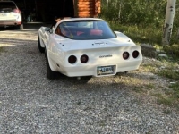 1990 Chevrolet Corvette for sale in Michigan (ID-133498)