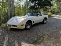 1990 Chevrolet Corvette for sale in Michigan (ID-133498)