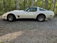 1990 Chevrolet Corvette for sale in Michigan (ID-133498)