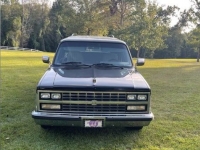 1990 Chevrolet Suburban for sale in Michigan (ID-123900)