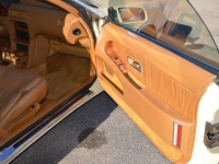 1990 Chrysler TC for sale in Michigan (ID-125153)