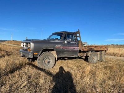 1990 Dodge W250 for sale