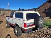 1990 Ford Bronco for sale in Michigan (ID-154870)
