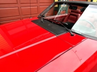 1990 Ford Mustang for sale in Riverhead, New York (ID-109586)