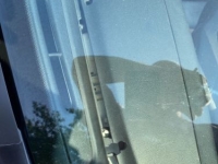 1990 Ford Mustang for sale in Michigan (ID-133210)