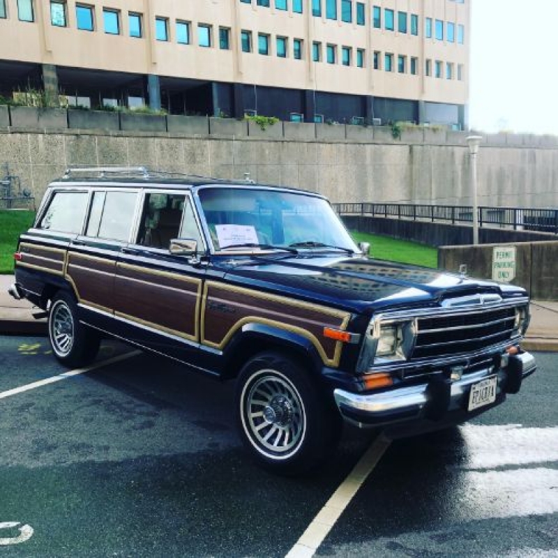 1990 Jeep Grand Wagoneer for sale in Michigan (ID-94807)