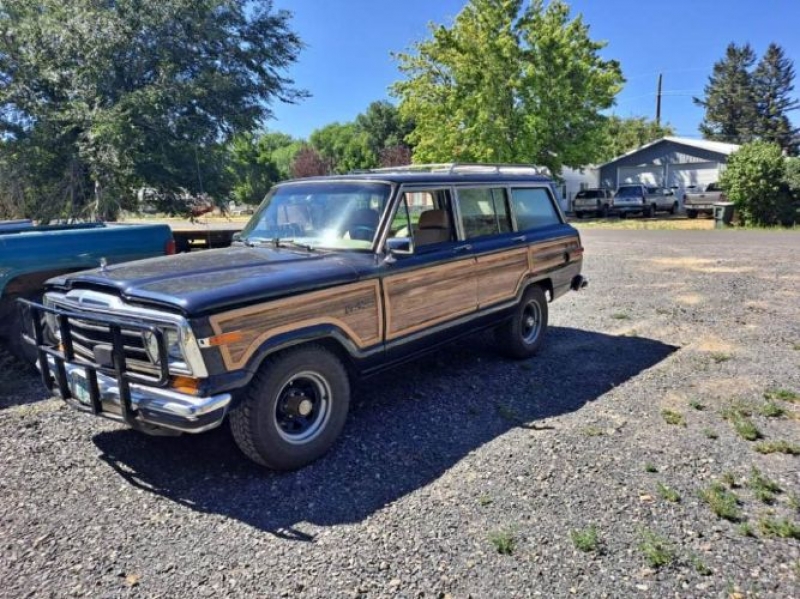 1990 Jeep Grand Wagoneer for sale in Michigan (ID-103025)