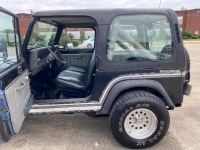 1990 Jeep Wrangler for sale in Michigan (ID-120843)