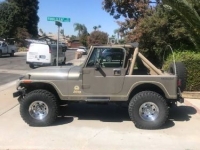 1990 Jeep Wrangler for sale in Michigan (ID-133658)