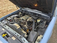 1990 Lincoln Town Car for sale in Michigan (ID-123084)