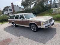 1990 Mercury Grand Marquis for sale in Michigan (ID-122431)