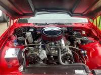 1990 Pontiac Firebird for sale in Michigan (ID-132168)