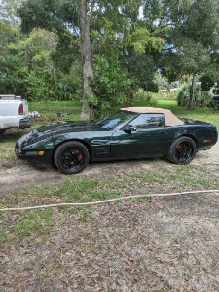 1991 Chevrolet Corvette for sale in Florida (ID-85028)