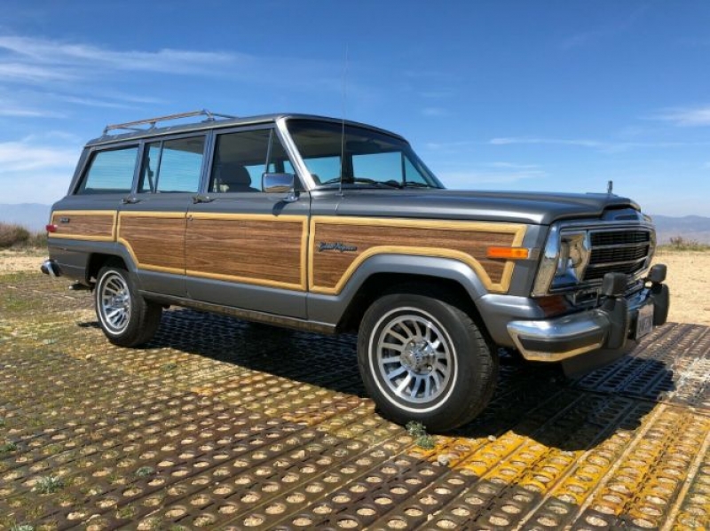 1991 Jeep Grand Wagoneer for sale in Michigan (ID-90632)
