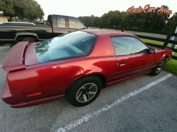 1991 Pontiac Firebird for sale in Michigan (ID-52118)