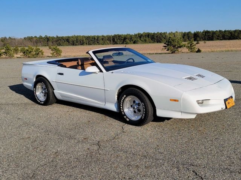 1991 Pontiac Firebird for sale in Riverhead, New York (ID-88863)