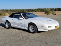 1991 Pontiac Firebird for sale in Riverhead, New York (ID-88863)