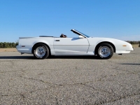 1991 Pontiac Firebird for sale in Riverhead, New York (ID-88863)