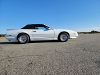 1991 Pontiac Firebird for sale in Riverhead, New York (ID-88863)