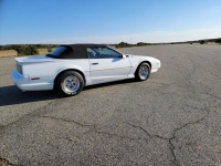 1991 Pontiac Firebird for sale in Riverhead, New York (ID-88863)
