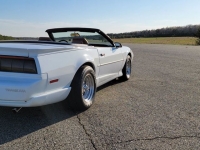 1991 Pontiac Firebird for sale in Riverhead, New York (ID-88863)