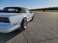 1991 Pontiac Firebird for sale in Riverhead, New York (ID-88863)