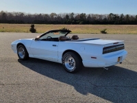 1991 Pontiac Firebird for sale in Riverhead, New York (ID-88863)