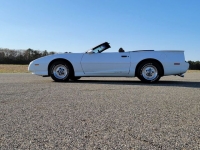 1991 Pontiac Firebird for sale in Riverhead, New York (ID-88863)