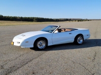 1991 Pontiac Firebird for sale in Riverhead, New York (ID-88863)