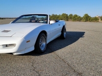 1991 Pontiac Firebird for sale in Riverhead, New York (ID-88863)