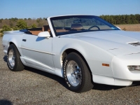 1991 Pontiac Firebird for sale in Riverhead, New York (ID-88863)
