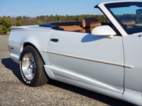 1991 Pontiac Firebird for sale in Riverhead, New York (ID-88863)