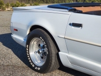 1991 Pontiac Firebird for sale in Riverhead, New York (ID-88863)