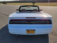 1991 Pontiac Firebird for sale in Riverhead, New York (ID-88863)