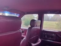 1991 Cadillac Seville for sale in Michigan (ID-138697)