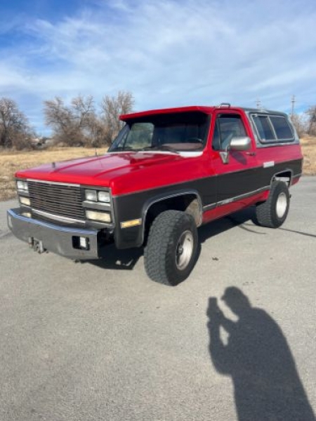 1991 Chevrolet Blazer for sale in Michigan (ID-124617)