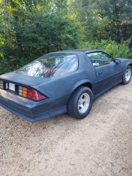 1991 Chevrolet Camaro for sale in Michigan (ID-121123)