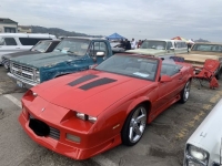 1991 Chevrolet Camaro for sale in Michigan (ID-137230)