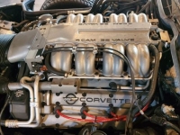 1991 Chevrolet Corvette for sale in Riverhead, New York (ID-123970)