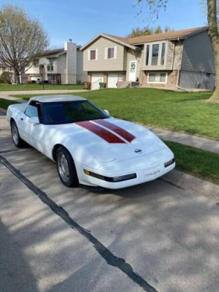 1991 Chevrolet Corvette for sale in Michigan (ID-127997)