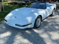 1991 Chevrolet Corvette for sale in Michigan (ID-127997)